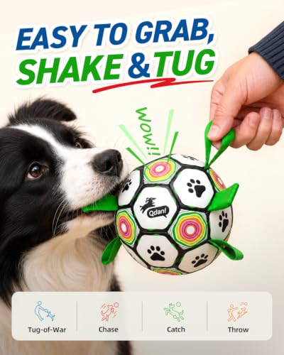  Dog Soccer Ball with Straps - image 5