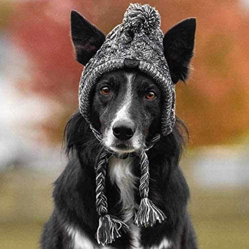 Dikeo Polar Pom Pom Hat, Warm Pet Dog Knitted Hat,Pet Dog Winter Knitted Hat, Hats For Small Dogs, Winter Dog Hat With Ear Holes And Long Tassel, Grey (Large) #TOP2