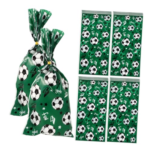 GANAZONO 100TbJ[ae[} obO ŉfUC َq v[gpbsO prp[eB[p