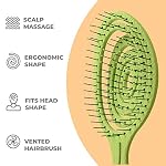 Ninabella Detangle Hair Brush for Women & Men - Does not Pull - Straightening Brushes for Straight & Curly Hair - Unique Spiral Detangling Hairbrush - Lime Green - Image 3