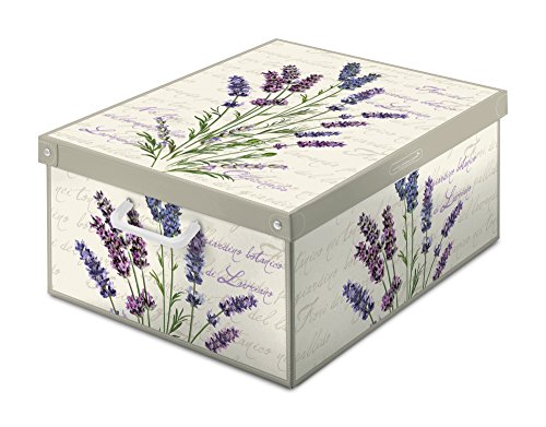 Lavatelli(@eb) yKAizC^A X^bLO Rei[ [BOX x_[M LVTBXLVM