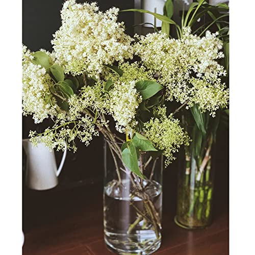 Homerove Glass Flower Vase, Set Of 12 Clear Glass Cylinder Vase, Floating Candle Holder Vase For Wedding And Party (6 Inch Tall) #TOP4