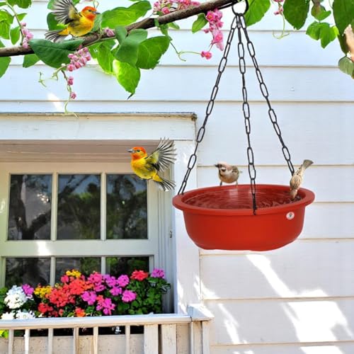 Image of GARDENS NEED 10 Inches Hanging Bird Feeder /Waterer Dish | Terracotta Plastic | Set of 2 | Round Bird Bath Station with Steel Chains & Hooks for Outdoor Garden, Patio & Balcony Decor