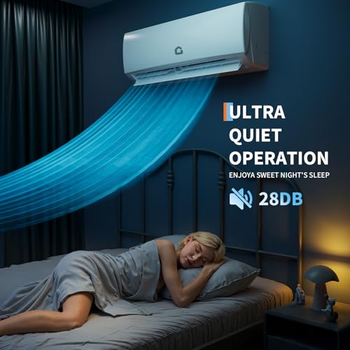 Mini Split AC Cooling Living Room