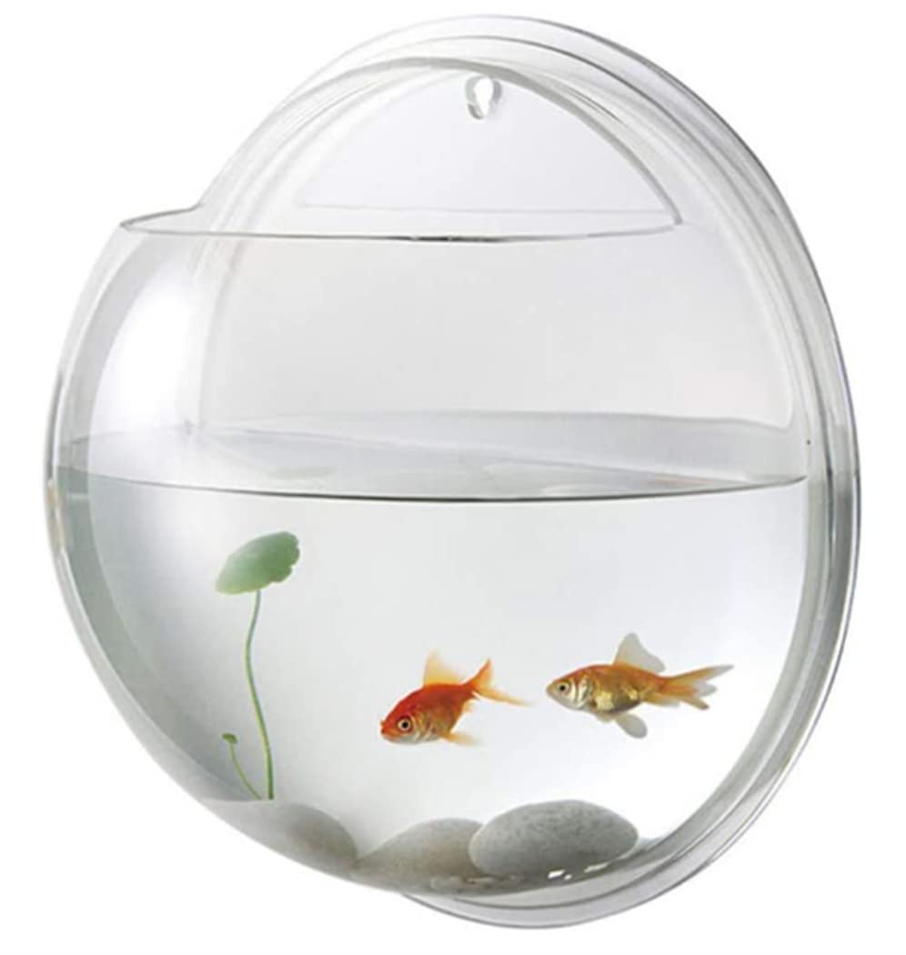 Amazon | 金魚鉢 水槽 壁掛け水槽 花瓶 半球型 アクリルフィッシュ