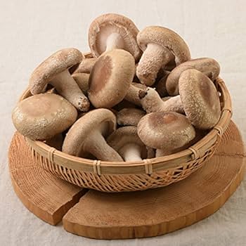 しいたけ 岩手県産他 菌床生椎茸 約1kg – 九州屋plus+