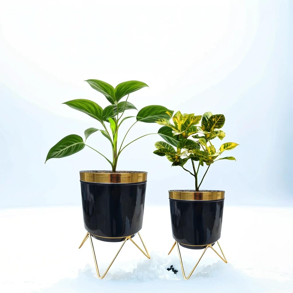 LAQA Metal Planter Indoor Plant Pot Elegant Design with Stand Black Gold Set of 2 Pieces (B0DDJ86FPJ) Amazon Price History, Amazon Price Tracker