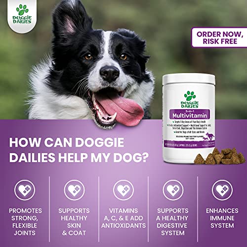 Doggie Dailies 5 In 1 Multivitamin For Dogs, 225 Soft Chews, Dog Multivitamin For Skin And Coat Health, Joint Health, Improved Digestion, Antioxidants, Support A Healthy Immune System #TOP2