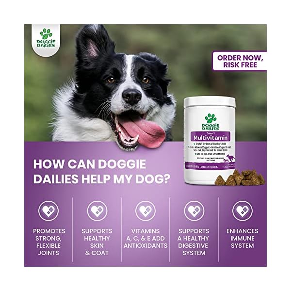 Doggie Dailies 5 in 1 Multivitamin for Dogs, 225 Soft Chews, Dog Multivitamin for Skin and Coat Health, Joint Health, Improved Digestion, Antioxidants, Support a Healthy Immune System Doggie Dailies 5 in 1 Multivitamin for Dogs, 225 Soft Chews, Dog Multivitamin for Skin and Coat Health, Joint Health, Improved Digestion, Antioxidants, Support a Healthy Immune System