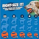 Chuckit! CH48201 Pro Ball Launcher 18M