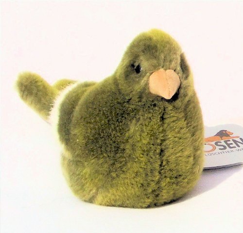 Preisvergleich Produktbild Kösen Kanarienvogel, grün