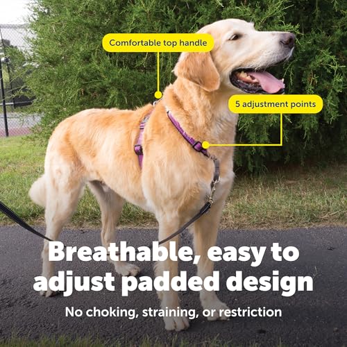 Image of PetSafe Plum 3-in-1 Harness, Large