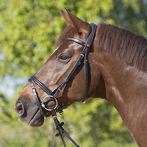 Kieffer Serenity Cabezada, Unisex-Adult, Negro, Talla �nica