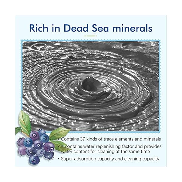Dead-Sea-Mud-Mask-for-Face-Clay-Mask-Skincare-Blueberry-Vitamin-C-Clay-Mask-Purifying-Clay-Mask-Green-Tea-Natual-Bentonite-Healing-Clay-Mask-Blackhead-Remover-Deep-Cleansing-Hydrating-Facial-Gift Dead Sea Mud Mask for Face Clay Mask Skincare Blueberry Vitamin C Clay Mask Purifying Clay Mask Green Tea Natual Bentonite Healing Clay Mask Blackhead Remover Deep Cleansing Hydrating Facial Gift