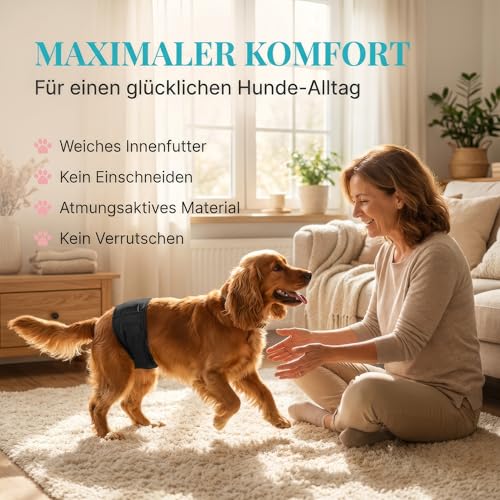 HUND IST KÖNIG Hundewindeln für Rüden, Saugstarke Rüdenwindel Rüdenbinde