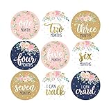 16 Navy Pink Floral Baby Girl Milestone Stickers, 12 Monthly Photo Picture Props for Infant Onesie, 1st Year Birth Months Belly Decals, Scrapbook Memory Registry Gift, Best Cute Shower Basket Present