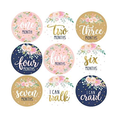 16 Navy Pink Floral Baby Girl Milestone Stickers, 12 Monthly Photo Picture Props for Infant Onesie, 1st Year Birth Months Belly Decals, Scrapbook Memory Registry Gift, Best Cute Shower Basket Present