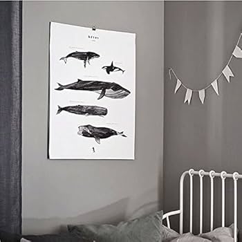 Amazon.co.jp: 【Coco Lapine Design／ココラパンデザイン