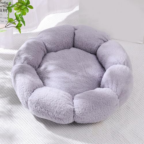 [QINTIW] ybgxbh ybgNbV ybg}bg ybg\t@ Eh^ ӂӂ _炩 g ΍ ~ h 60 \ Lp ybgNbV ybgpi Eh^  1fUC h