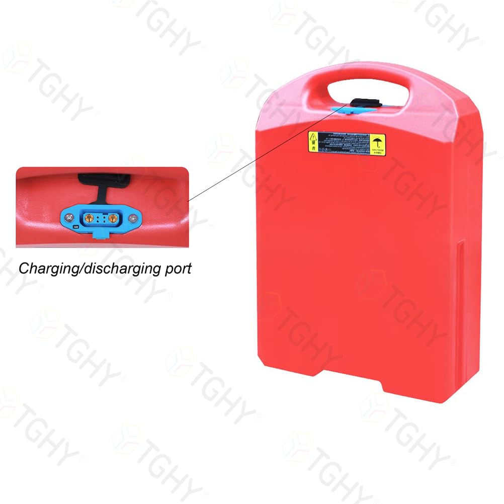 TGHY Batería de 48 V y 20 Ah para transpaleta