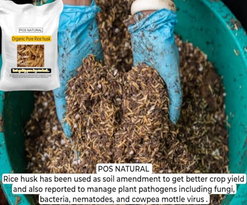 Image of Evergrow Organic Rice Husk - Eco-Friendly, Sustainable, and Versatile-500g