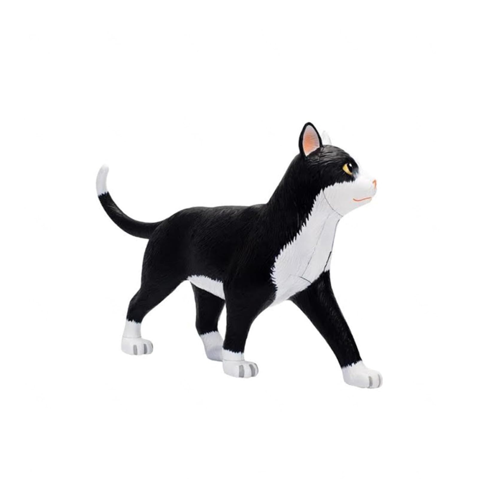 Genérico Modelo de Anatomía de Gato 4D, 28 Partes para Demostración de Enseñanza Animal, Modelo de Anatomía de Gato, Herramienta de Entrenamiento Veterinario para Demostración de Enseñanza