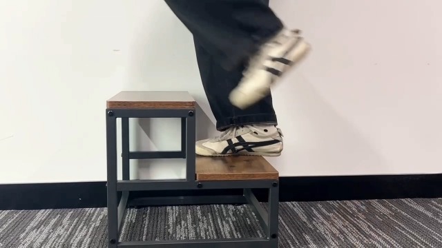 Amazon｜PASRLD 踏み台 脚立 2段ステップ台 足置き台 ペットスロープ