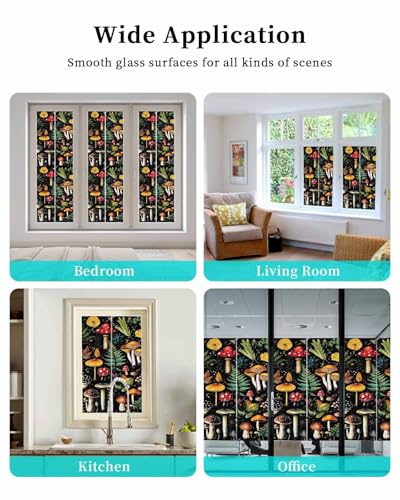 Película Decorativa para Ventanas Vidrio Vidriado 29.5"x78.7" miniatura 7