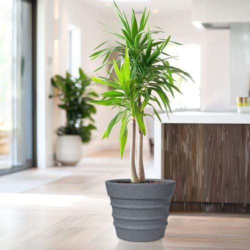 Image of YUCCABE ITALIA Fox B BR 14 Inch Grey Planter Pot Large Decorative Flower Pot for Home, Balcony & Garden