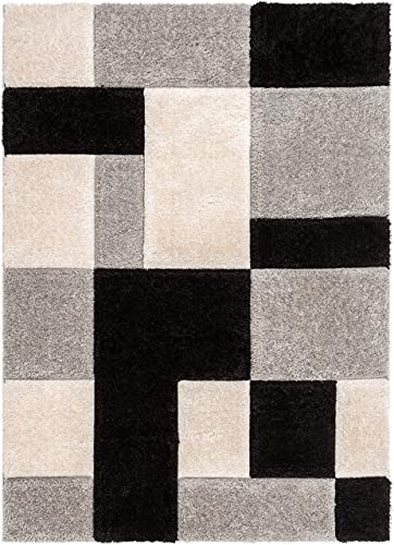 Image of Shaggy Rug for Bedroom Living Room 3X5 FEET Fluffy Plush Area Carpet with Non Slip Backing, Modern Cozy Floor Rug for Home Decor and Comfort (Black- Ivory)