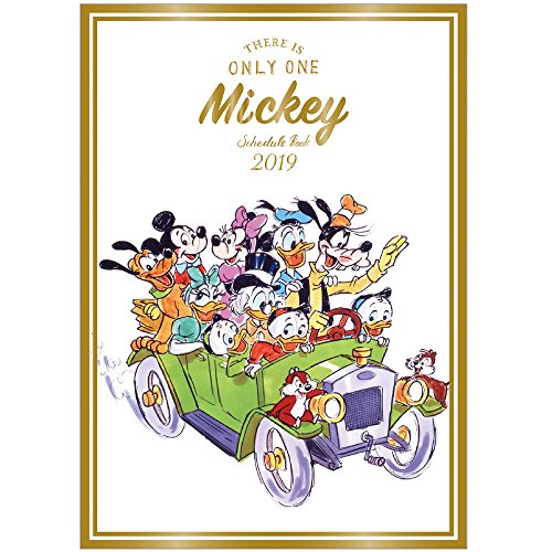 最安値 サンスター文具 18年12月始まり 手帳 B6 1週間 片側ノート ディズニー スタンダードの価格比較