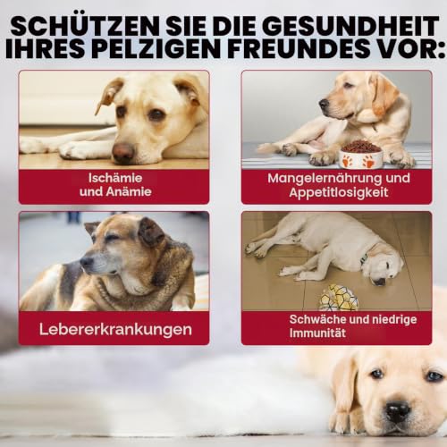Flüssiges Eisen Ergänzungen Für Hunde,Liquii Eisen Tropfen Mit Folat Vc Und B12,Unterstützt Anämie,Niedrige Enerie-Spiegel Und Lethargie,Fördert Blutgesundheit,Bildung Von Roten Blutkörperchen-2 Fl.Oz