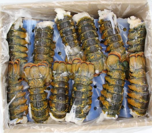 Premium Maine Lobster Tails 3-4 oz Each – 40-Pack Case – Wild-Caught, Sweet & Succulent – Perfect for Surf and Turf, Grilling, Baking, or Steaming – Frozen Seafood