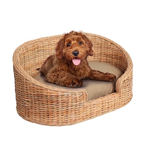 The LICKER Store DBD1001B Curvy 33' x 21.25'...
