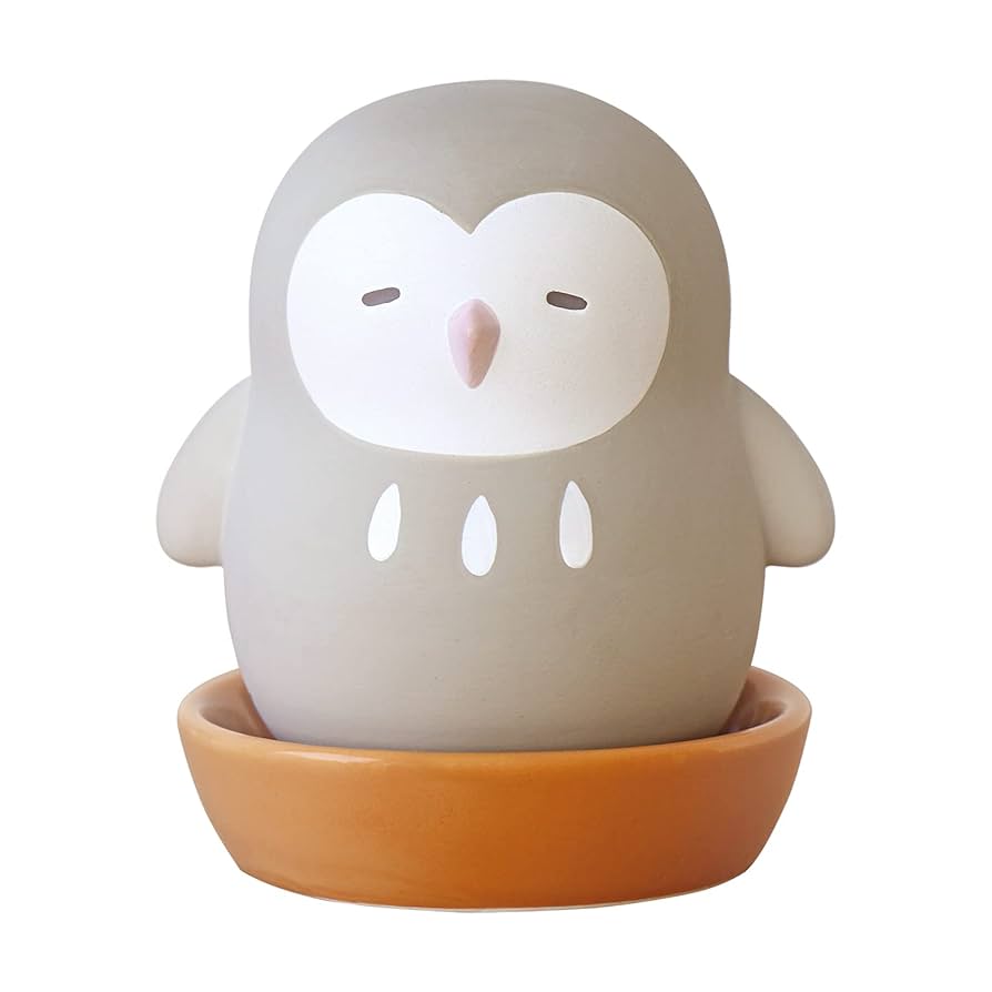 Amazon.co.jp: 陶器の加湿器ふくろう 素焼き エコ 電源不要