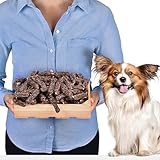 Lovely DOG