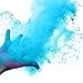 Chameleon Colors 25 lb. Color Powder - 1 Pack - Vibrant Blue Color - for 15-20 People - Non-Toxic & Gluten-Free - for Holi, Color Wars, Fun Run, Gender Reveal, Summer Camp & More