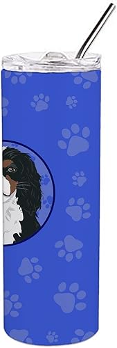 Miniatura 3 de Caroline's Treasures WDK1118TBL20 Cavalier King Charles Spaniel Tricolor #1 - Vaso delgado de acero inoxidable de 20 onzas, vaso térmico de doble