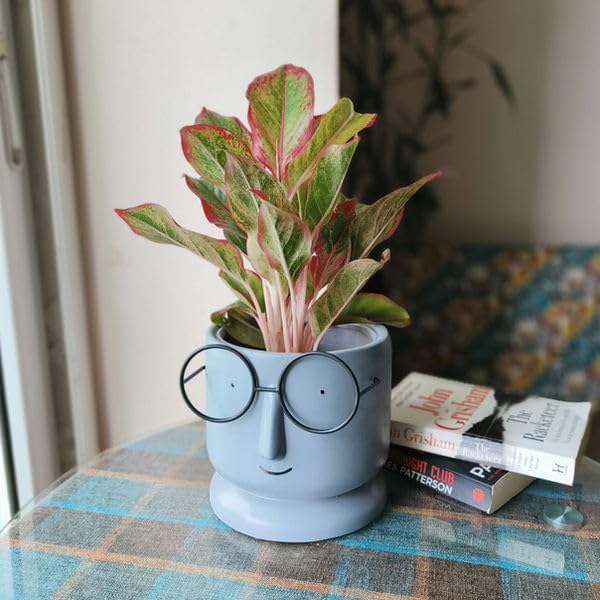 Image of Ceramic Face Planter with Glasses Design | Cute Cartoon Head Flower Pot for Indoor Plants, Succulents, Office Desk, or Home Decoration | Matte Blue