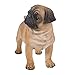 Realistic Life Size Pug Statue Detailed Sculpture Glass Eyes Hand Painted Resin 13 inch Figurine Home Decor Amazing Likeness