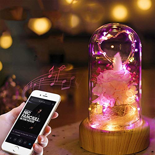 Preisvergleich Produktbild CVDEKH Weihnachten Nachtlicht Kreative Bluetooth Audio LED Atmosphäre Licht Mikro Landschaft Ewiges Leben, A