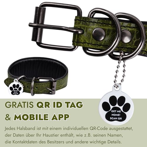 FAVPET Luxus Echtleder Windhund Halsband Breit mit QR Code Anhänger, Weiches Lederhalsband Hund Breit Whippet Italienisches Windspiel Saluki Lurcher Spanischer Galgo Greyhound Podenco (Grün, S)