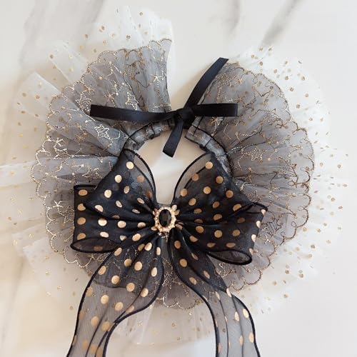 L̃[X̒lN^Cybǧ̃ANZT[L̑(XL)