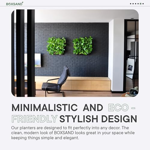 BOXSAND-6 (12"x26") Living Wall - Wall Planter, Vertical Garden for 6 Plants, Indoor/Outdoor, 2 Screws Install (White) with Black Round Pots