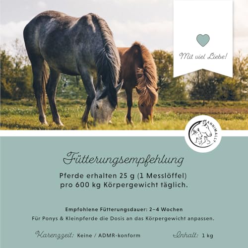 Annimally Magnesium Pellets für Pferde 1 kg - Magnesiumacetat & Magnesiumoxid für höchste Bioverfügbarkeit