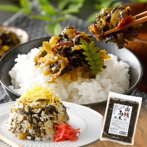 辛子高菜 240g×1パック 2パック 3パック 4パック 山賊の高菜 からし高菜 ポッキリ お米に合う ご飯のお供 おつまみ 国産 無添加 お取り寄せ 福岡 お土産 九州 グルメ 福岡県 メール便(ポスト投函)