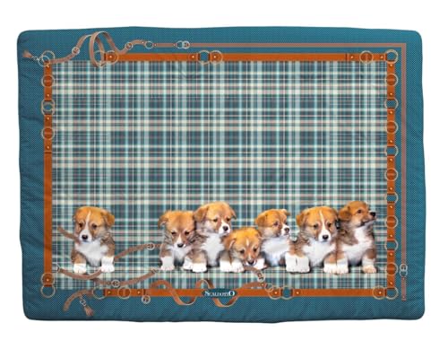 Caleffi Kuscheldecke für Kinder (blau)