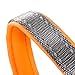 Embark Adventure Dog Collar with Soft Padded Neck, Matching Set with The Adventure Leash and Harness, Pet Collars for Dogs & Most Breeds - Dog Collar for Large Dogs (Large Dog Collars, Orange)