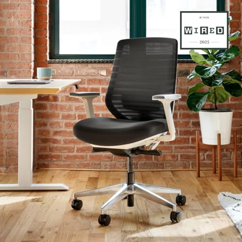 Image of Branch Ergonomic Chair - A Versatile Desk Chair with Adjustable Lumbar Support, Breathable Mesh Backrest, and Smooth Wheels - Experience Optimal Comfort and Support - Black | Breathable Mesh Backrest and Smooth Wheels, Experience Optimal Comfort and Support, Black
