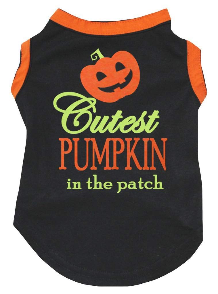 Chemise citrouille noire pour chiot et vêtement d'Halloween